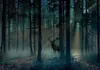 Selbstklebende Folie Fototapete - Mystical Forest - Third Produktbild-Vorschau 5