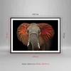 Gerahmtes Poster - Schwarzer Rahmen - Elefant Rot Ohren - Produktbild-Vorschau 5