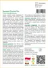 SAFLAX - Bengalski Dusiciel Ryc - 20 Nasiona - Ficus Podgląd zdjęcia produktu 3