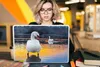 MuchoWow® Laptop Aufkleber Sticker Cover Schwan - Vogel - Produktbild-Vorschau 5