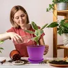 10 Stück Blumentopf mit Untersetzer, 14cm Pflanztopf Produktbild-Vorschau 5