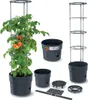 A tomato plant growing in a planter with a support structure, along with other components of the planter system. Náhľad obrázku produktu