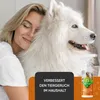 Baviette Deodorante per cani 500 ml spray – Neutralizzatore Anteprima dell’immagine prodotto 6