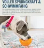 Planet Dog Orbee-Tuff Snoop Orange – Intelligenzspielzeug Produktbild-Vorschau 5