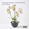 HOMESCAPES Umělá bílá orchidej Phalaenopsis v černém Náhled obrázku produktu 2