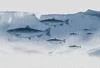 Tadessi Fototapete | Unterwasser | 4.00 m x 2.70 m | Blau | Produktbild-Vorschau 1
