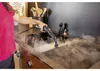KARCHER Steam Cleaner SC 4 Deluxe - 1.513-460.0 Anteprima dell’immagine prodotto 18