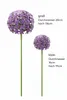 Allium Stecker Metall Ø16+20cm Gartenstecker lila 2erSet Produktbild-Vorschau 3