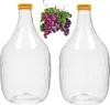 2 x 5L Weinflasche Weinballon aus Kunstoff GÄRBALLON Produktbild-Vorschau 1