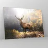 Bilder auf glas - Einteilig - Licht Hirsch Wald - 70x50cm - Produktbild-Vorschau 4