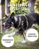 RUDELKÖNIG Hundegeschirr Bella Grün Größe L – Gepolstertes Produktbild-Vorschau 5