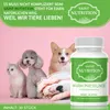 Saint Nutrition® Wurm Tabletten - Wurmmittel Hund - Produktbild-Vorschau 6