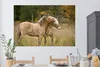MuchoWow® - Selbstklebend - Fototapeten Produktbild-Vorschau 1