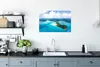 MuchoWow® Poster Great Barrier Reef vor den Whitsunday Produktbild-Vorschau 3