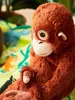 IKEA DJUNGELSKOG Stofftier Orangutan Punch Braun 104.028.41 Produktbild-Vorschau 3