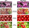 LED Pflanzenlampe Vollspektrum,Flowerpot Lampe 256 Produktbild-Vorschau 5