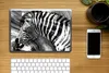 MuchoWow® Laptop Aufkleber Sticker Cover Gemälde - Ölfarbe Produktbild-Vorschau 2