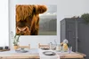 MuchoWow® Poster Schottischer Highlander - Orange - Nase Produktbild-Vorschau 3