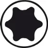 Proxxon Industrial 23 102 TX, Star, Star TH Bit set Produktbild-Vorschau 9