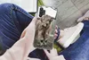 MuchoWow® Handyhülle Schutzhülle Hülle für Samsung Galaxy Produktbild-Vorschau 3