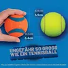 Chuckit Bucket con ultra ball Medium 8 pezzi. Anteprima dell’immagine prodotto 5