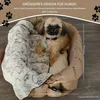 Hundeautositz für kleine Hunde, Hunde-Transportboxen, 25 Produktbild-Vorschau 4