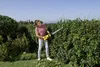 Kärcher Akku-Heckenschere HGE 18-50 Battery, 18V, 50cm Produktbild-Vorschau 3