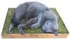 JR FARM Cat Relax-Wiese Katzenspielzeug Produktbild-Vorschau 3