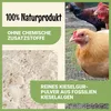 Canifee Kieselgur Pulver für Hühner und Geflügel im 2,2kg Produktbild-Vorschau 4