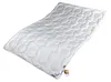 Feinstes Wildseiden Sommerbett Sommerdecke 135x200 cm 500 g Produktbild-Vorschau 1