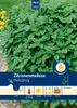 Zitronenmelisse Mehrjährig | Melissensamen von Carl Pabst Produktbild-Vorschau 1