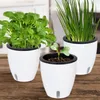 ONVAYA® Kräutertopf selbstwässernd | Wasserstand ablesbar | Produktbild-Vorschau 5