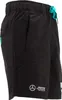 Puma Herren otorsport APF1 x DJ Woven Shorts kurze Hose Produktbild-Vorschau 4