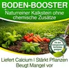 DÜNGEMEISTER Rasenkalk 20 kg – hochwertiger Rasen- & Produktbild-Vorschau 3