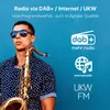 TechniSat DIGITRADIO 425 – DAB+/Internet/CD-Radio, 40 W, Produktbild-Vorschau 3