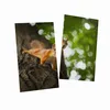 Wallario Herdabdeckplatte aus Glas, Größe 60 x 52 cm Produktbild-Vorschau 7