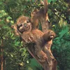 Folkmanis 3131, Handpuppe, Tier Produktbild-Vorschau 6