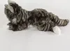 Kuscheltier Maine Coon Katze grau getigert liegend 38 cm Produktbild-Vorschau 4