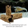 Aquarium Deko Rauer Baumstamm Höhle Röhre Aquariendeko Produktbild-Vorschau 6