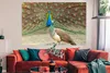 MuchoWow® Poster Pfaue - Vögel - Federn 180x120 cm - Produktbild-Vorschau 2