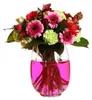 Farbstoff für Wasser Rosa (1 Stück) [IFS-20109] Produktbild-Vorschau 2