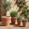 Teramico Blumentopf Terracotta "Doppio Bordo" frostfest Produktbild-Vorschau 3