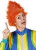 Das Sams – Perücke - Fasching Kostüm Zubehör Produktbild-Vorschau 3