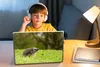 MuchoWow® Laptop Aufkleber Sticker Cover Igel im Gras Produktbild-Vorschau 3
