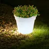 A white LED solar planter with green plants and red berries sits on gravel and grass at night, illuminated by its own light. Produktbild-Vorschau
