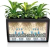 LECHUZA Vase à plantes CARARO Premium Anthracite Métallisé Voir les images du produit 14