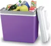 Compass 07129 - Box di raffreddamento 23l 230V/12V Anteprima dell’immagine prodotto 1