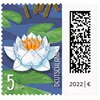 "Deutsche Post 0,05 € Briefmarken ""Seebriefrose"" Anteprima dell’immagine prodotto 2