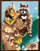 Zuty - Malen nach Zahlen - WASCHBÄR UND SCHMETTERLINGE (D. Produktbild-Vorschau 1