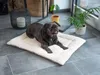TrendPet Heaven - Wärmende Wendedecke beige 90x65 cm Produktbild-Vorschau 6